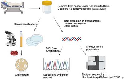 Contribution of Clinical Metagenomics to the Diagnosis of Bone and Joint Infections